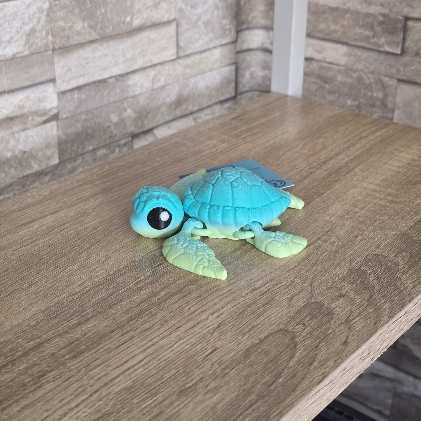 Sea Turtle